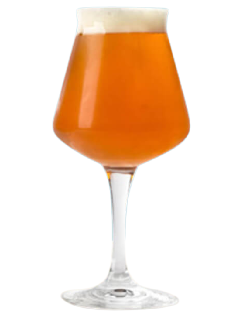  Teku Stemmed Beer Glasses